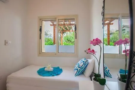 House 6, The Artisan Paralimni